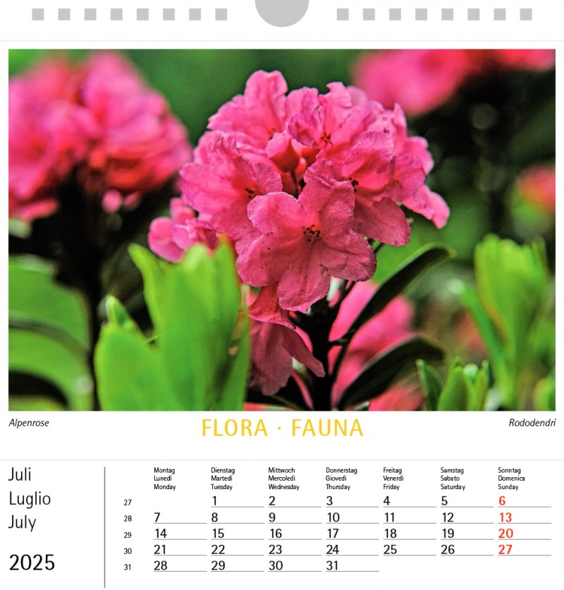 Calendario da tavolo Flora Fauna 2025 17 x 17 cm (formato orizzontale